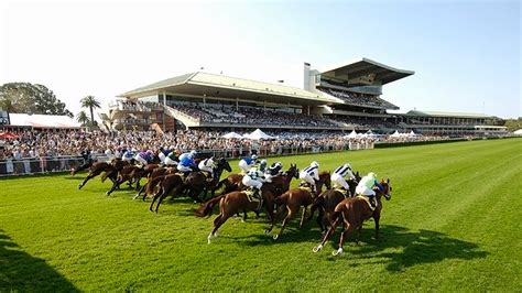 randwick tips today|randwick races tomorrow.